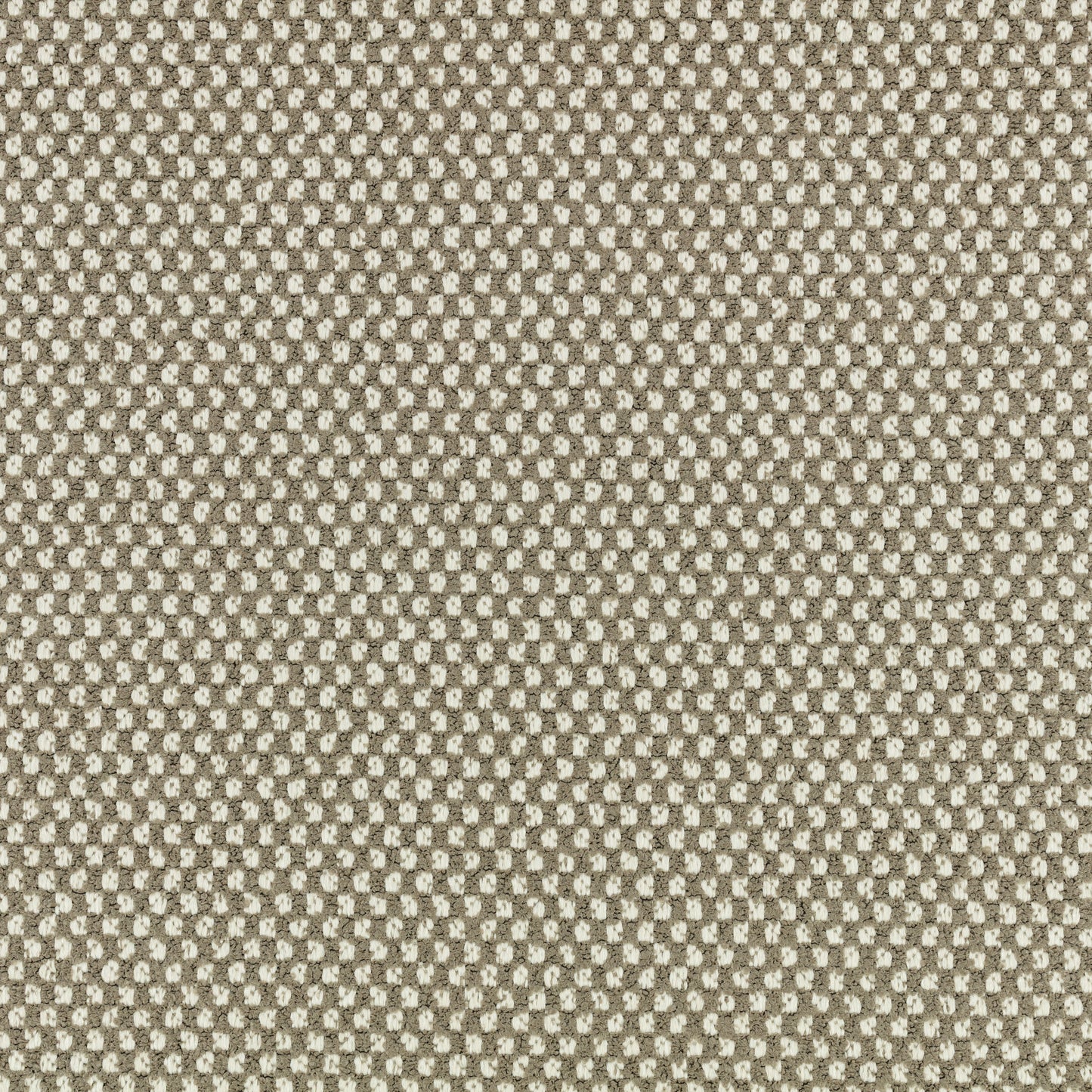 Black Edition Marca Outdoor Stucco