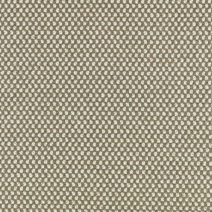 Black Edition Marca Outdoor Stucco