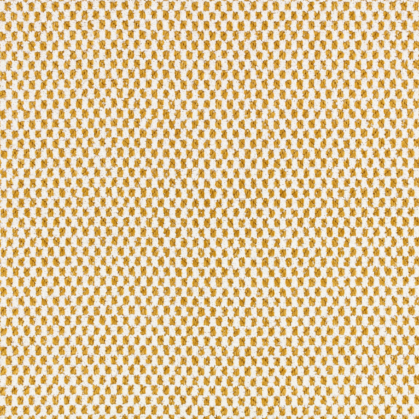 Black Edition Marca Outdoor Yuzu