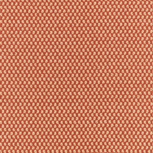 Black Edition Marca Outdoor Henna