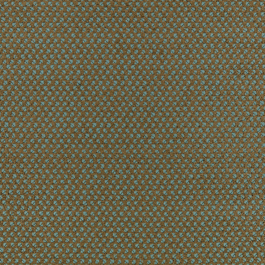 Black Edition Marca Outdoor Teal