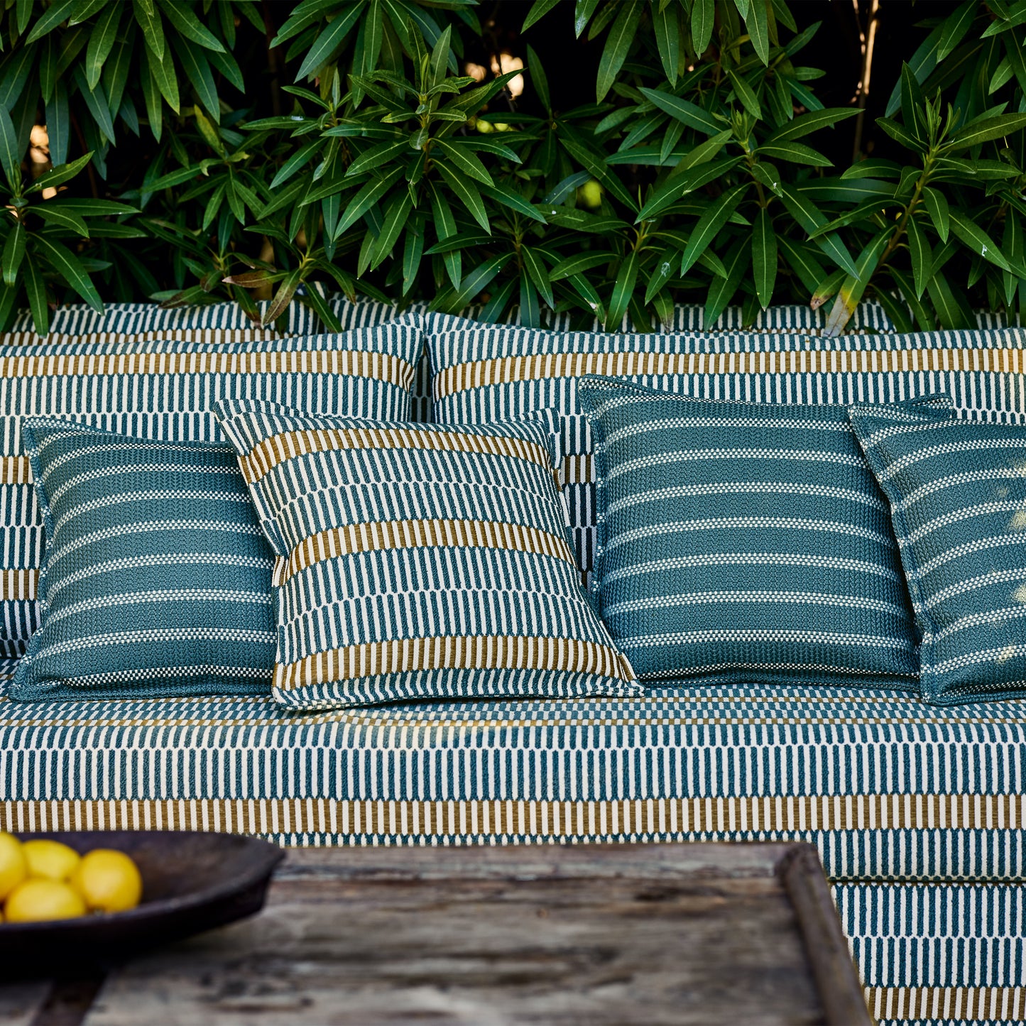 Black Edition Vida Outdoor Teal