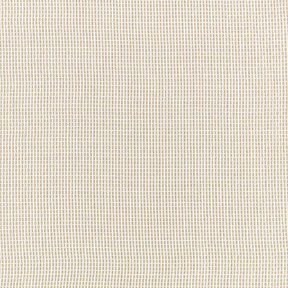 Black Edition Okan Outdoor Stucco