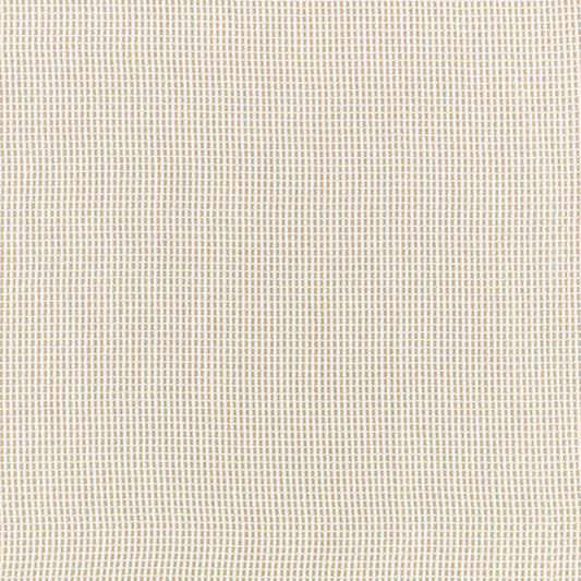 Black Edition Okan Outdoor Stucco