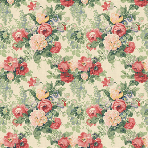 Linwood Albertine Classic Rose