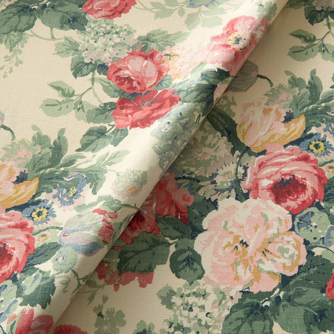 Linwood Albertine Classic Rose