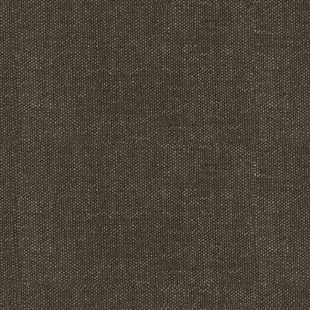 Warwick Arlington Mocha