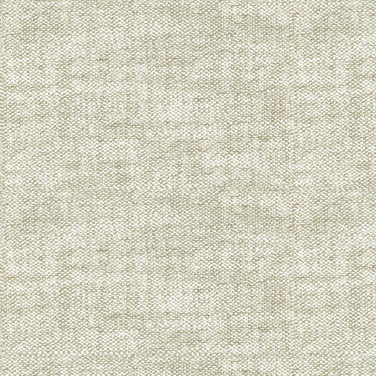 Warwick Arlington Oyster