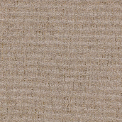 Warwick Arezzo Sheaf