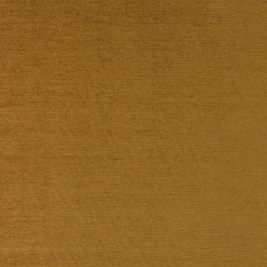 Warwick Augusta Dijon