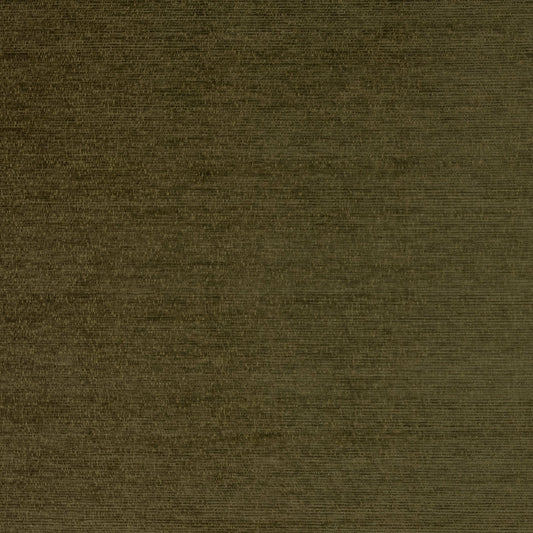 Warwick Augusta Olive