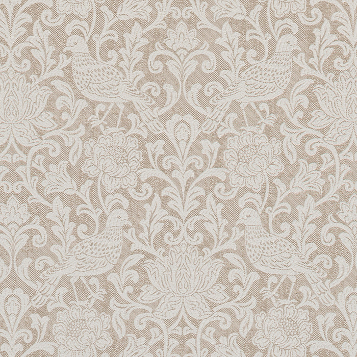 Fryetts Auvergne Dove