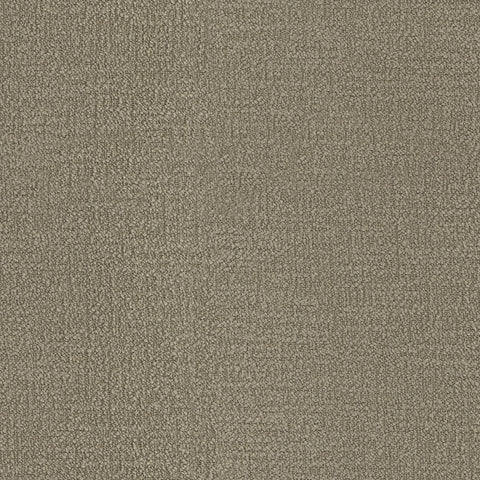Warwick Beaufort Oat