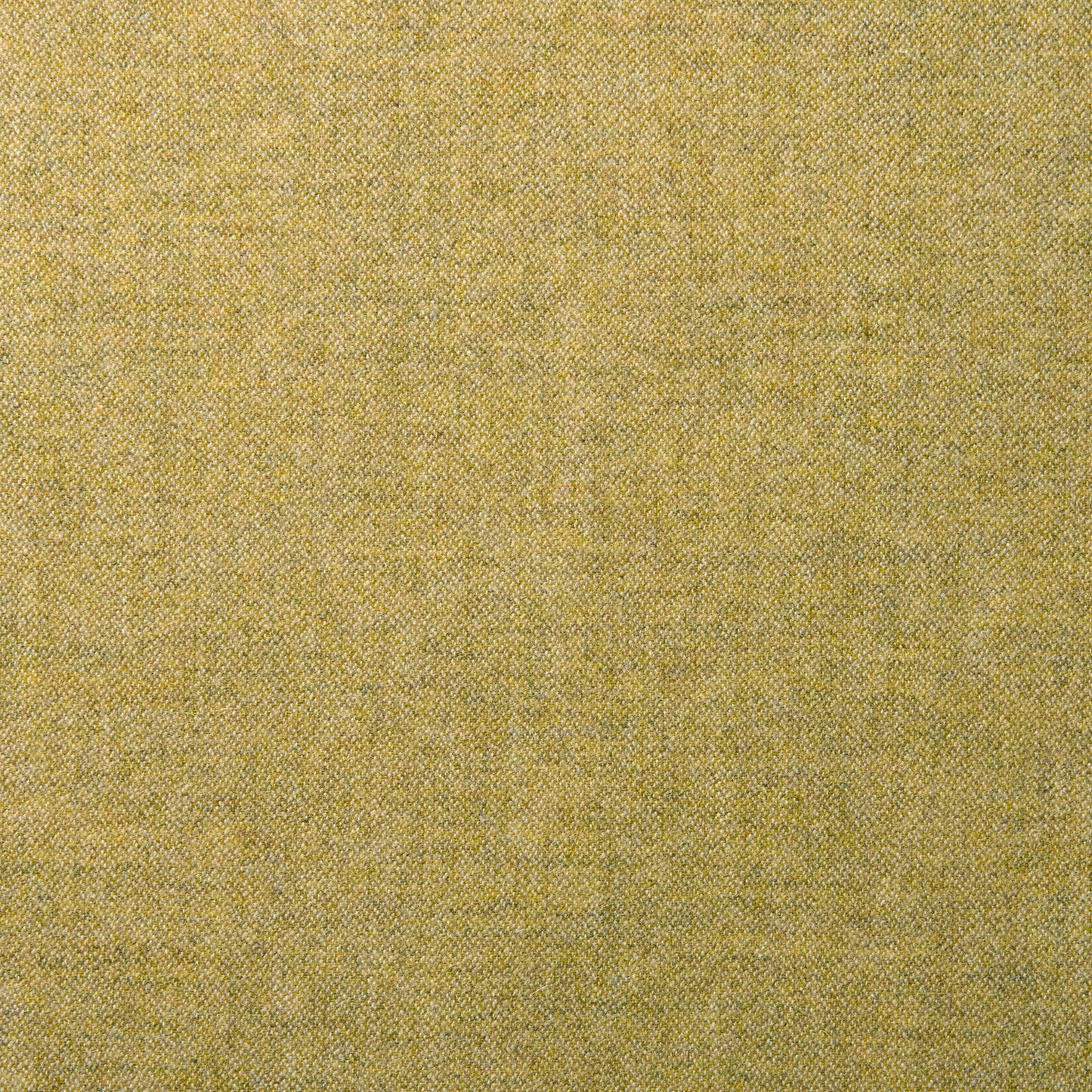 Linwood Tay Ochre
