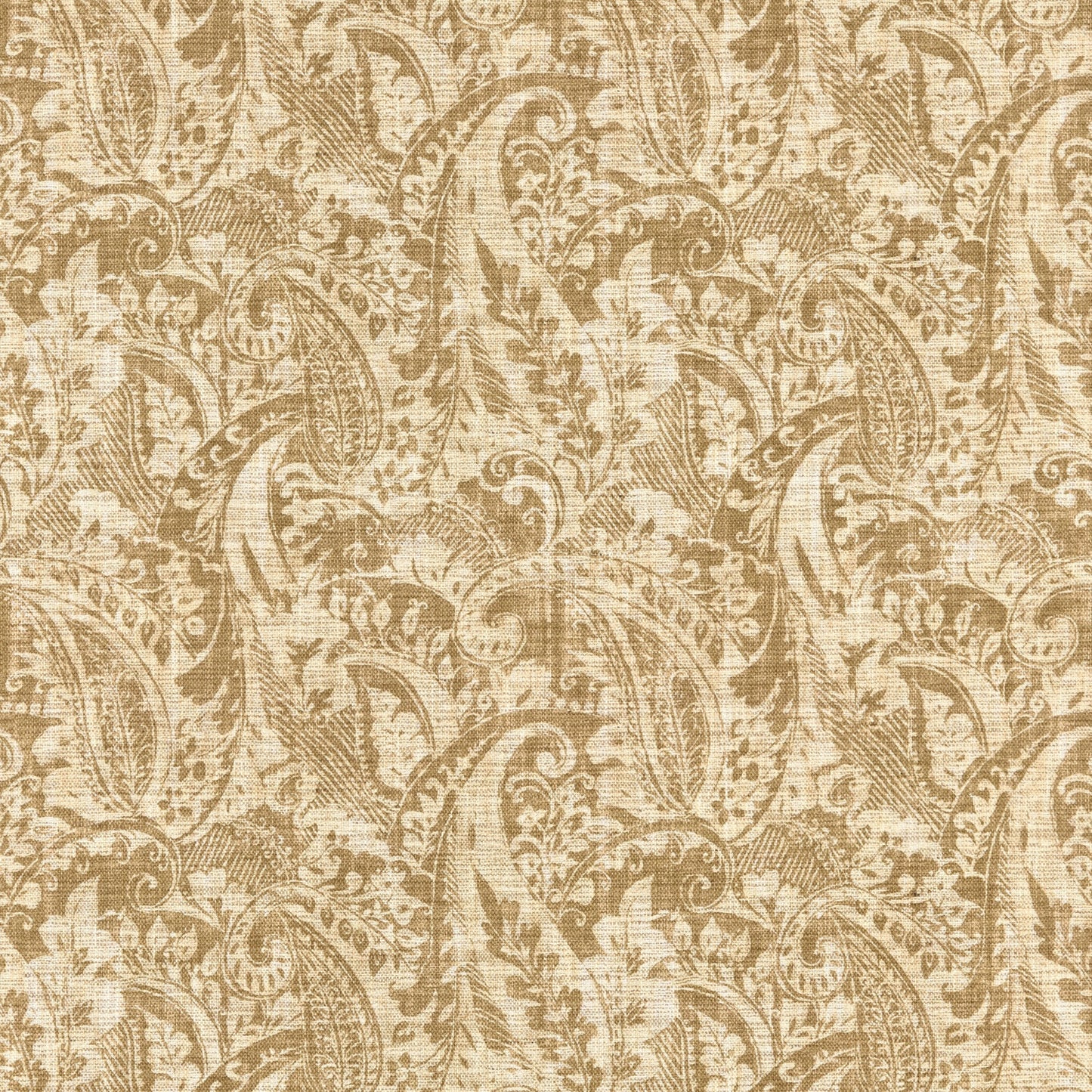 Warwick Bexley Lichen