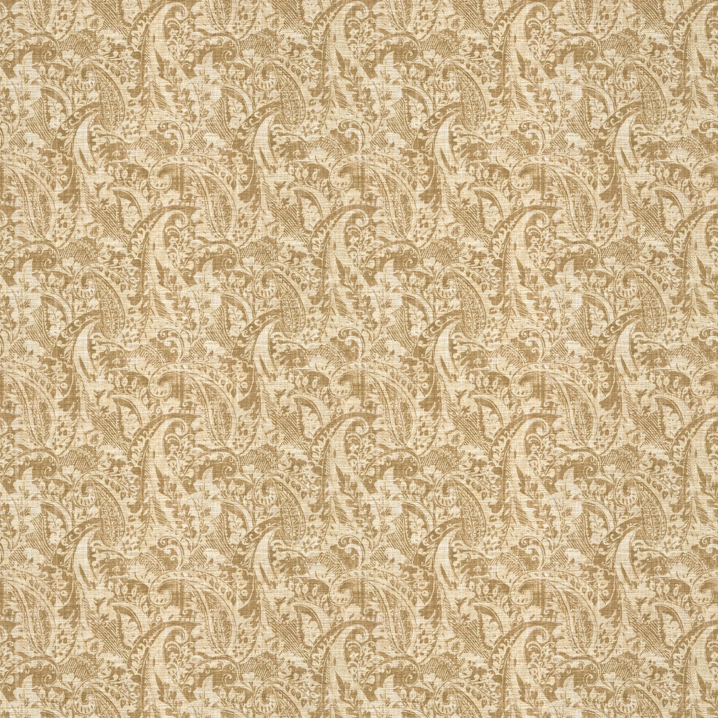 Warwick Bexley Lichen