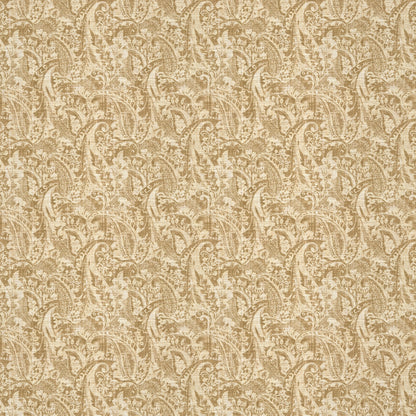 Warwick Bexley Lichen