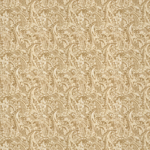 Warwick Bexley Lichen