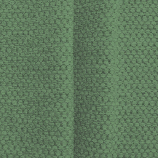 Hardys Bocastle Cactus