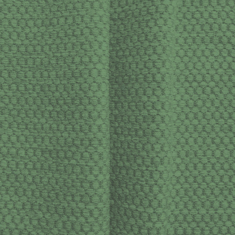 Hardys Bocastle Cactus