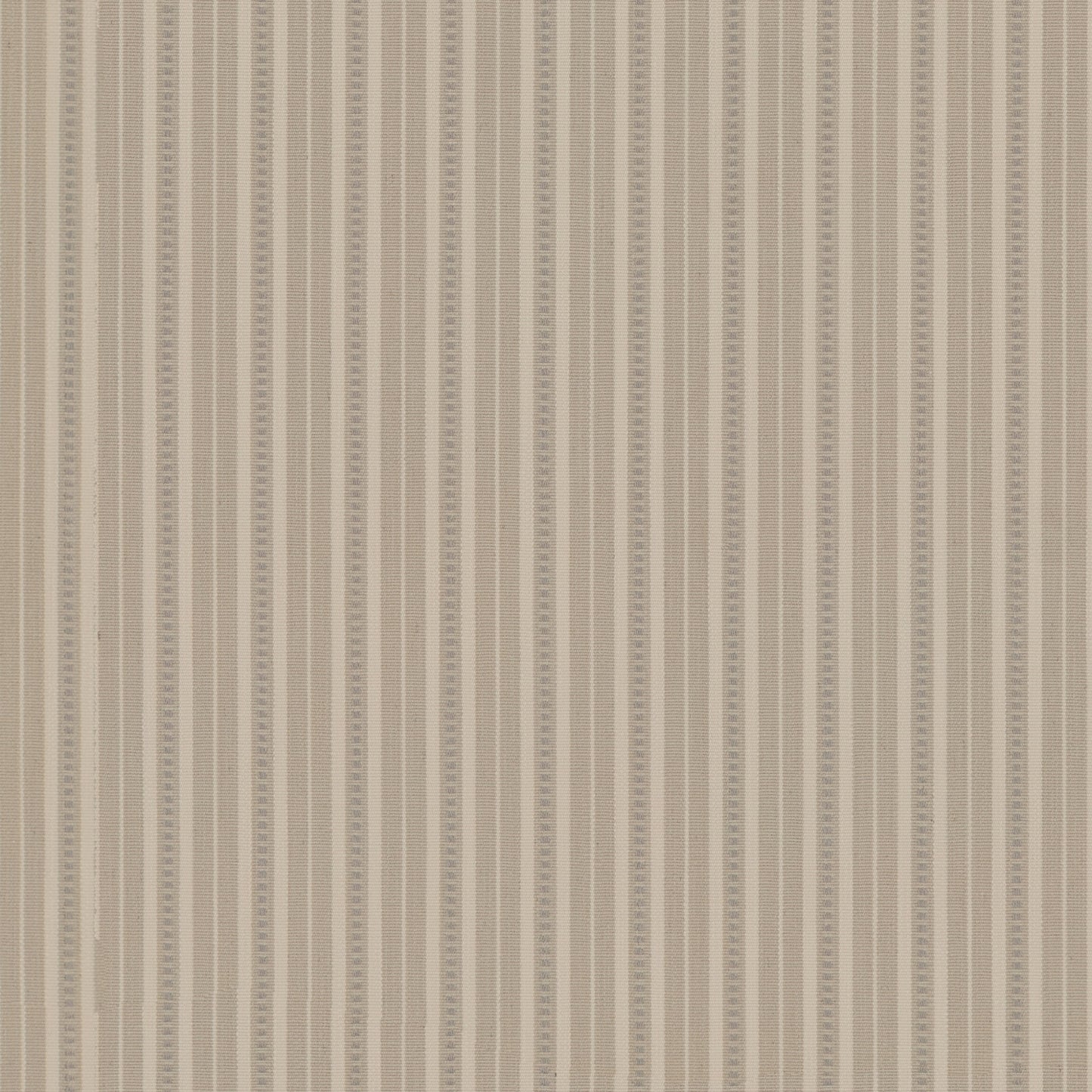 Warwick Brookhaven Gull