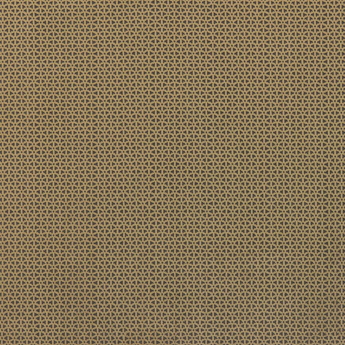 Warwick Bruer Brass