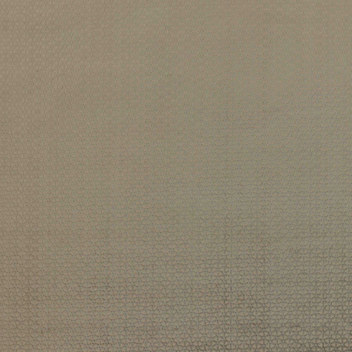Warwick Bruer Mocha