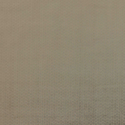 Warwick Bruer Mocha