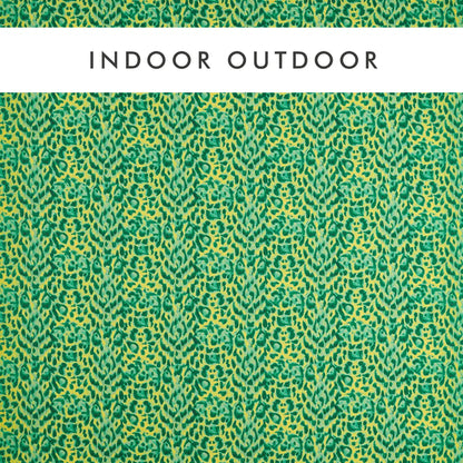 Clarke & Clarke Felis Indoor Outdoor Lime
