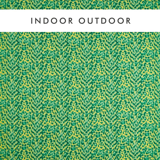 Clarke & Clarke Felis Indoor Outdoor Lime