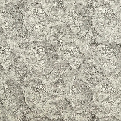 Clarke & Clarke Silvan Weave Charcoal