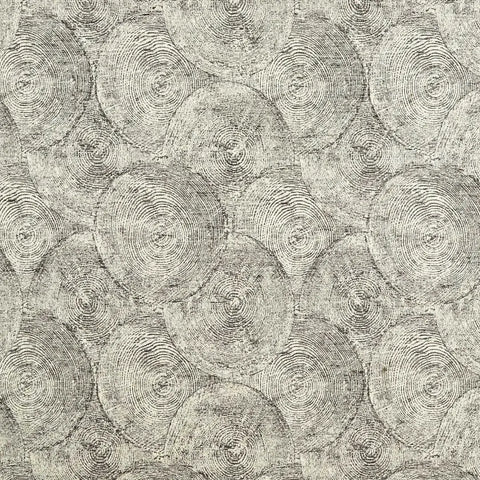 Clarke & Clarke Silvan Weave Charcoal