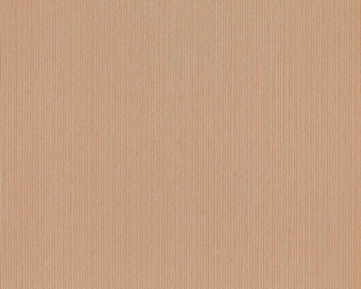 Clarke & Clarke Spencer Spice