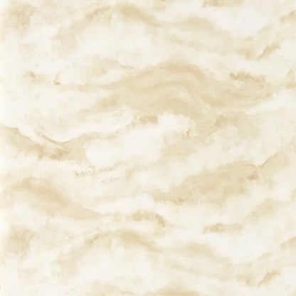 Clarke & Clarke Earthscape Savannah Wallpaper Whole Roll 10.05m