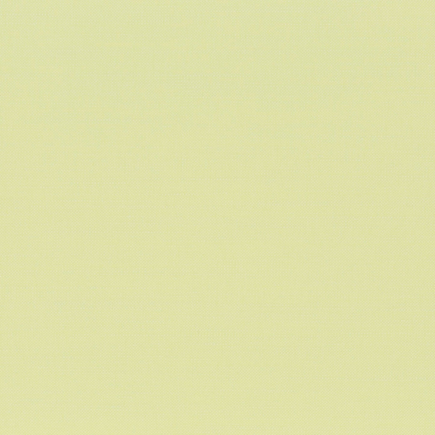 Chivasso Hot Madison Reboot Colour 46