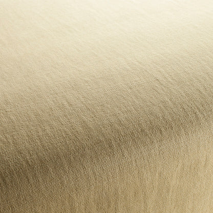 Chivasso Hot Madison Reboot Colour 45
