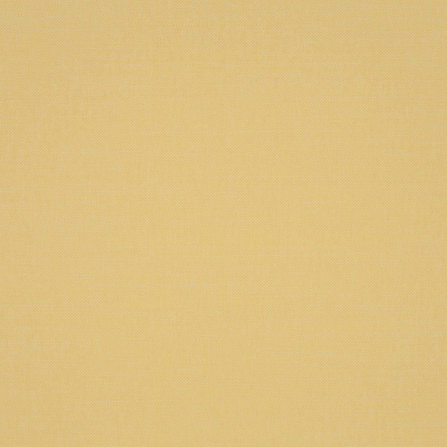 Chivasso Hot Madison Reboot Colour 40