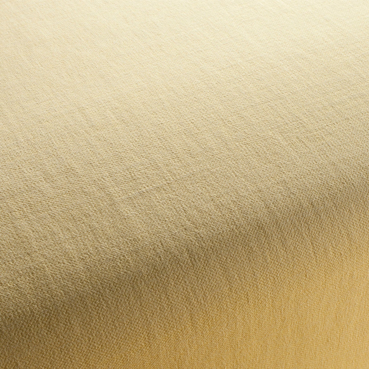 Chivasso Hot Madison Reboot Colour 40