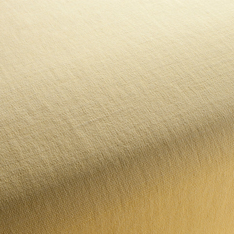 Chivasso Hot Madison Reboot Colour 40