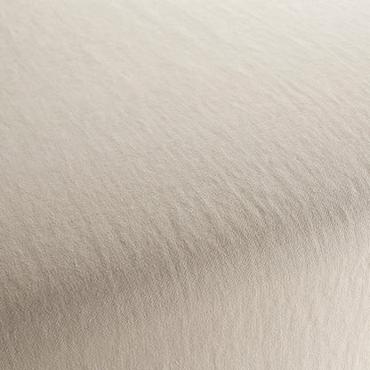 Chivasso Hot Madison Reboot Colour 22