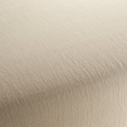 Chivasso Hot Madison Reboot Colour 17