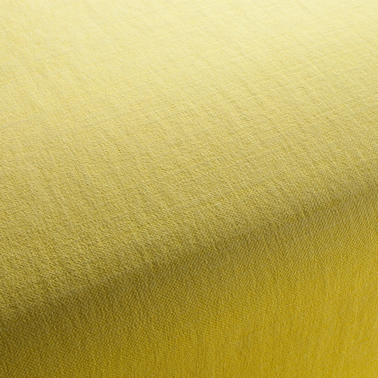 Chivasso Hot Madison Reboot Colour 41