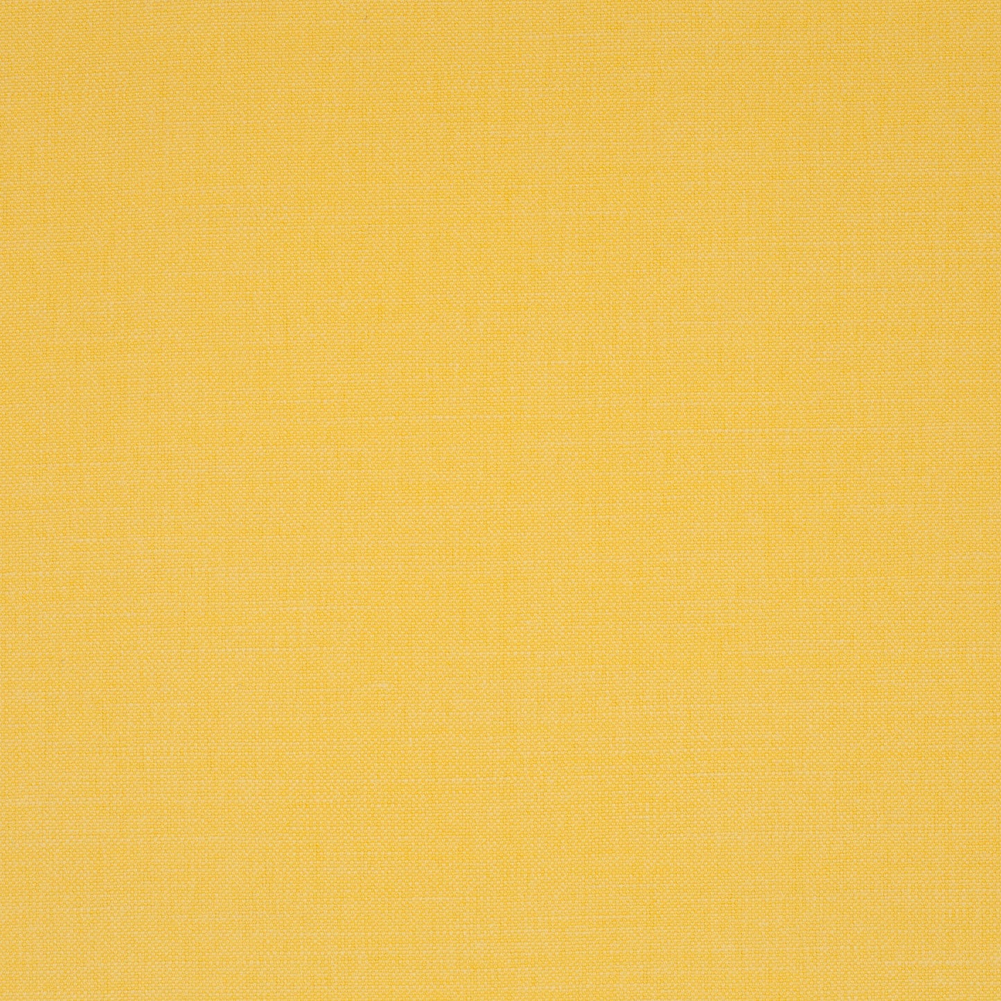 Chivasso Hot Madison Reboot Colour 38
