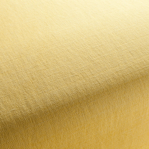Chivasso Hot Madison Reboot Colour 38