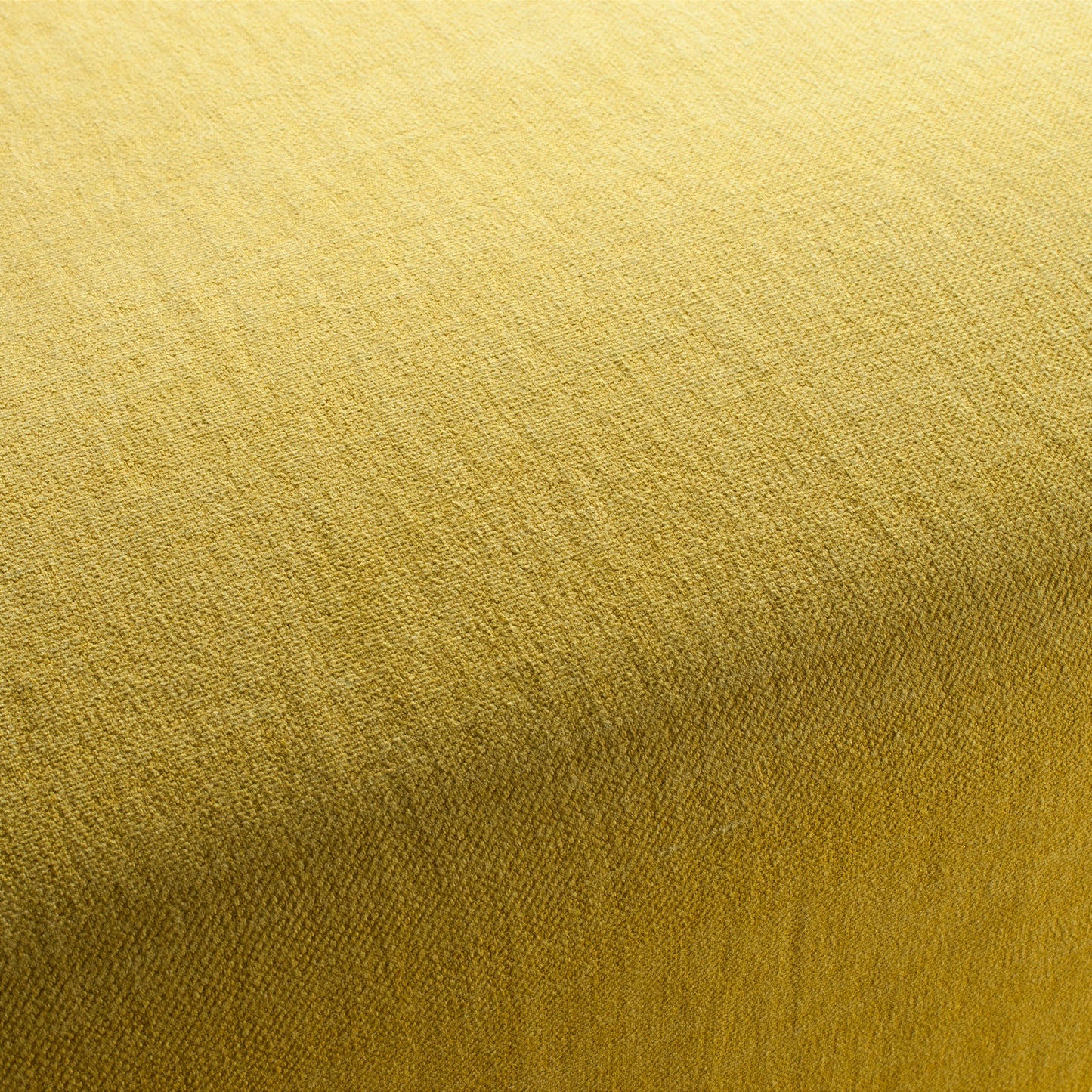 Chivasso Hot Madison Reboot Colour 42