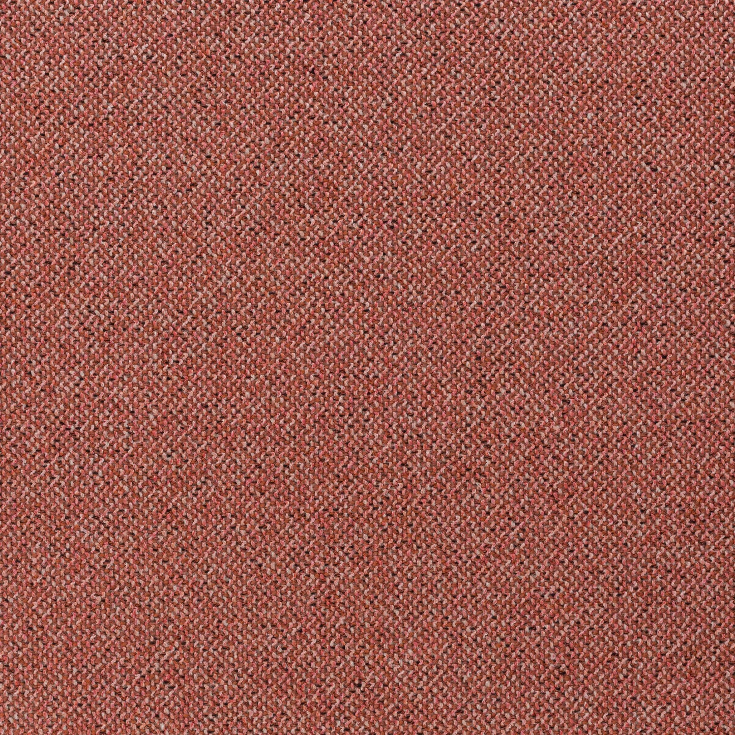 Chivasso Bonsai Reboot Colour 44