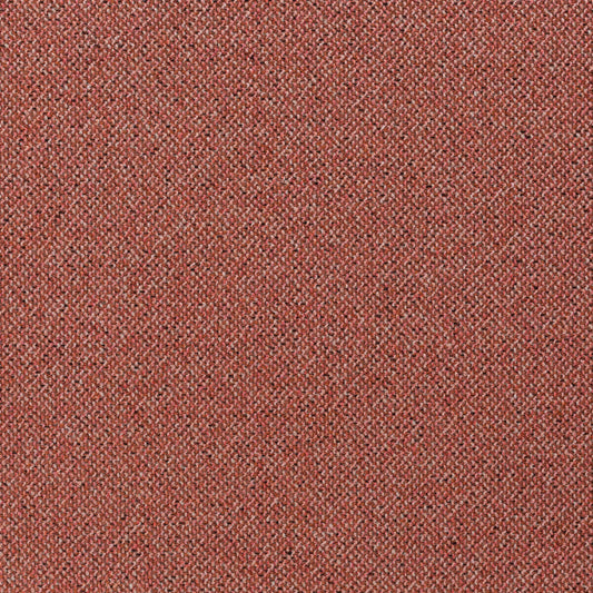 Chivasso Bonsai Reboot Colour 44