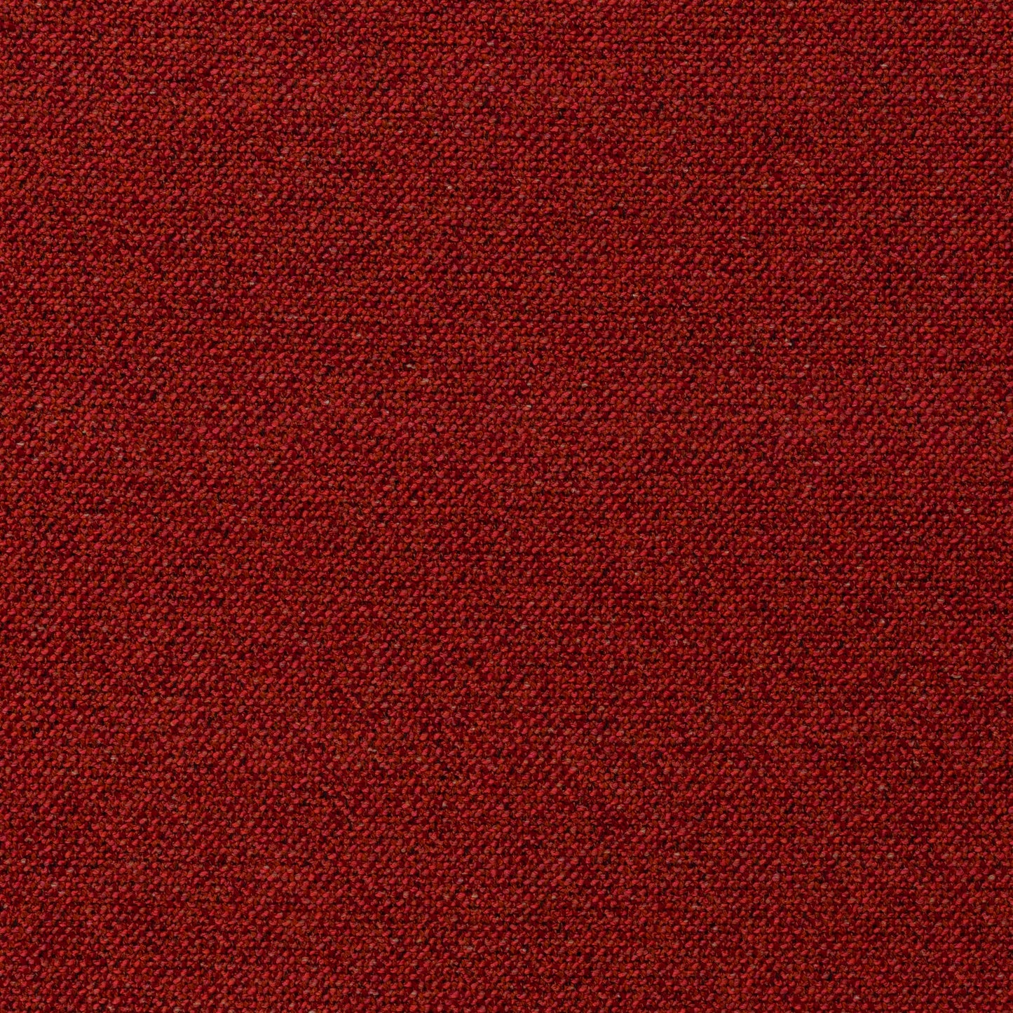 Chivasso Bonsai Reboot Colour 45