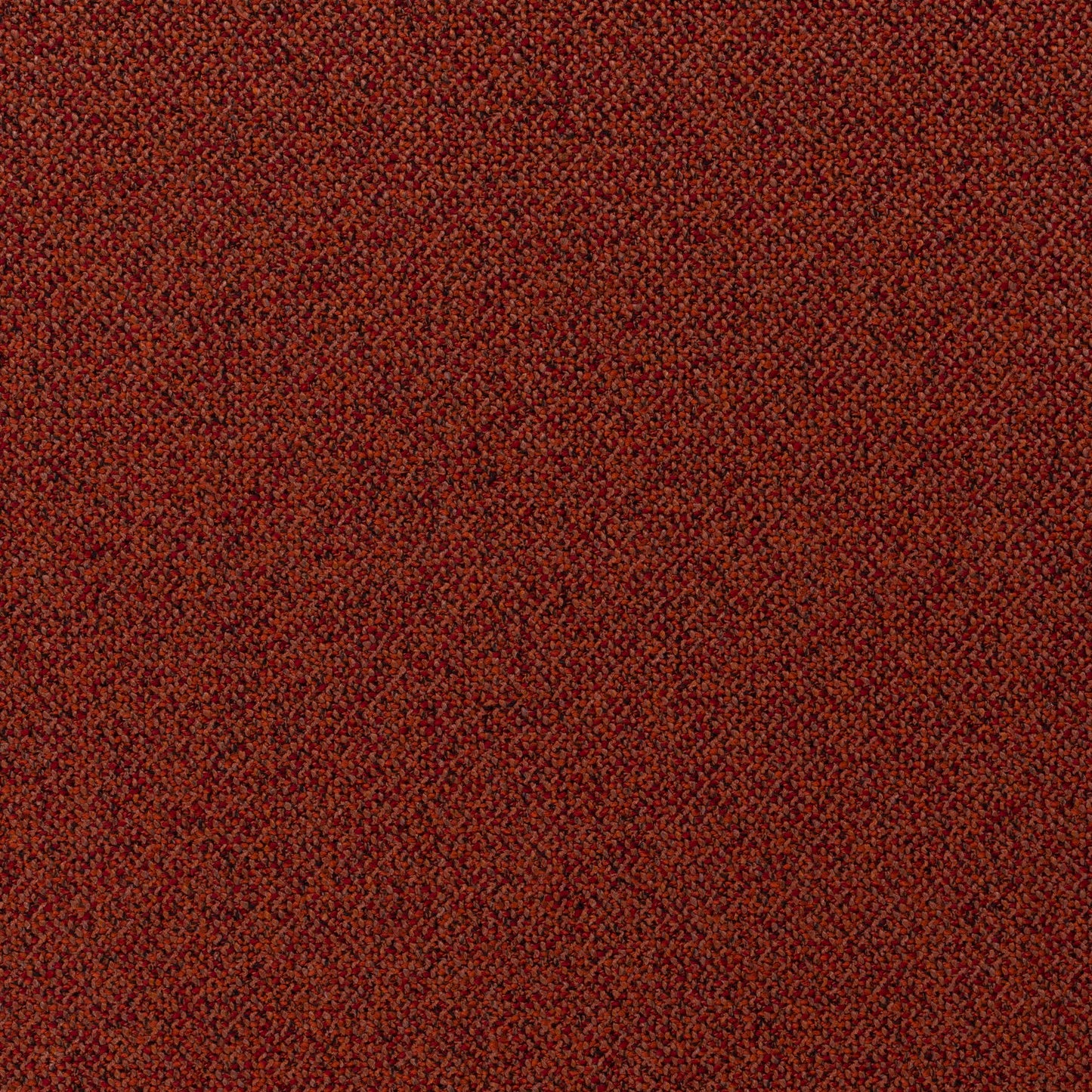 Chivasso Bonsai Reboot Colour 47