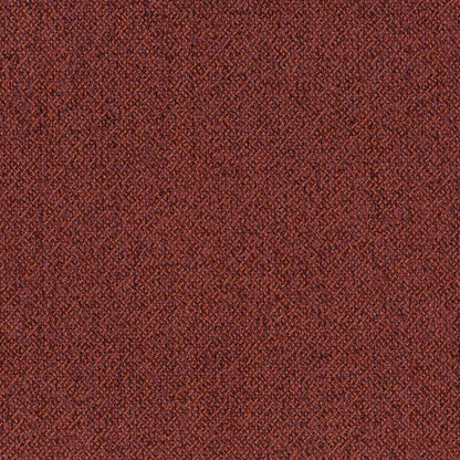 Chivasso Bonsai Reboot Colour 46